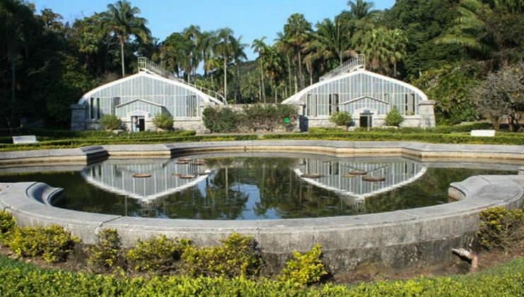 Zoológico, Zoo Safari e Jardim Botânico de São Paulo reabrem nesta quinta-feira (15)